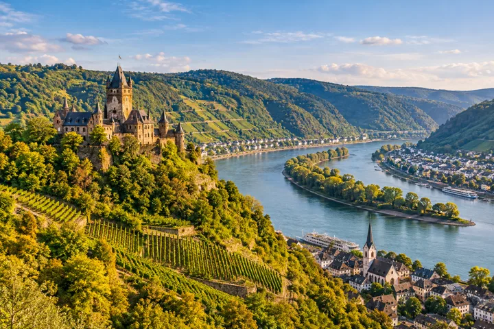 Rhine castle and vineyards — destination illustration